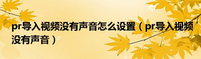 pr导入视频没有声音怎么设置（pr导入视频没有声音）