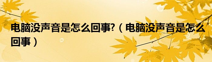 电脑没声音是怎么回事?（电脑没声音是怎么回事）