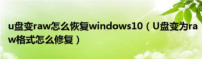 u盘变raw怎么恢复windows10（U盘变为raw格式怎么修复）