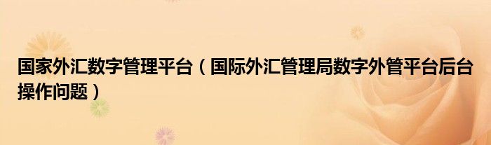 国家外汇数字管理平台（国际外汇管理局数字外管平台后台操作问题）