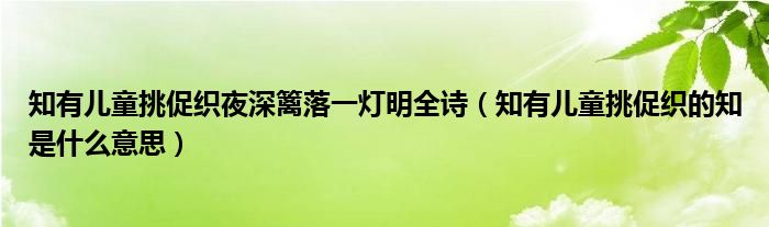 知有儿童挑促织夜深篱落一灯明全诗（知有儿童挑促织的知是什么意思）