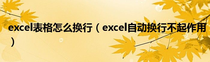 excel表格怎么换行（excel自动换行不起作用）