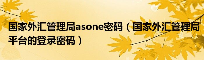 国家外汇管理局asone密码（国家外汇管理局平台的登录密码）