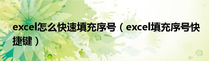 excel怎么快速填充序号（excel填充序号快捷键）