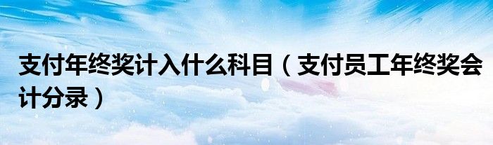 支付年终奖计入什么科目（支付员工年终奖会计分录）