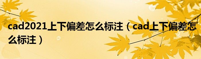 cad2021上下偏差怎么标注（cad上下偏差怎么标注）