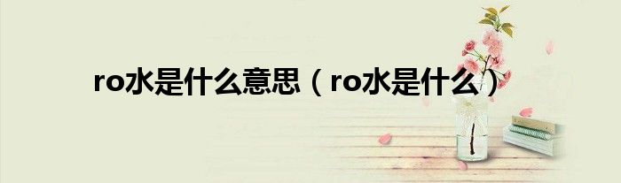 ro水是什么意思（ro水是什么）