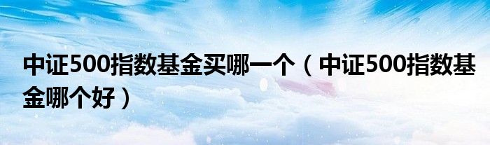 中证500指数基金买哪一个（中证500指数基金哪个好）