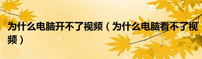 为什么电脑开不了视频（为什么电脑看不了视频）