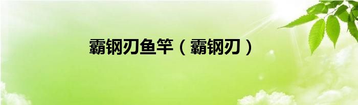 霸钢刃鱼竿（霸钢刃）