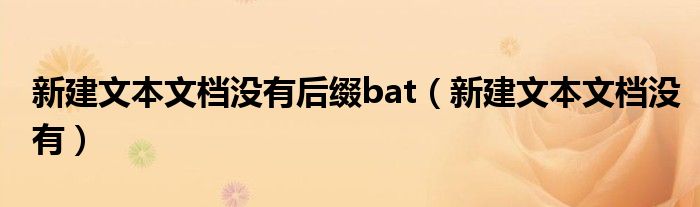 新建文本文档没有后缀bat（新建文本文档没有）