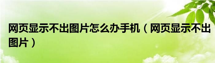 网页显示不出图片怎么办手机（网页显示不出图片）