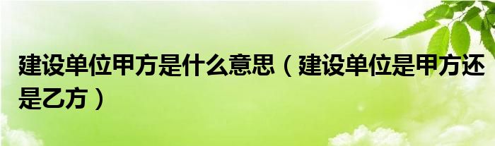 建设单位甲方是什么意思（建设单位是甲方还是乙方）