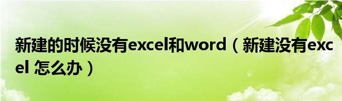 新建的时候没有excel和word（新建没有excel 怎么办）