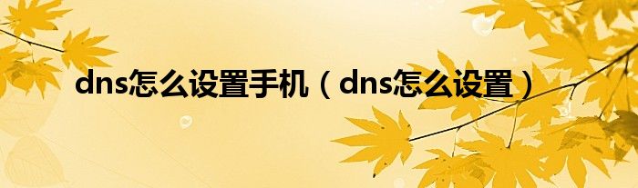 dns怎么设置手机（dns怎么设置）