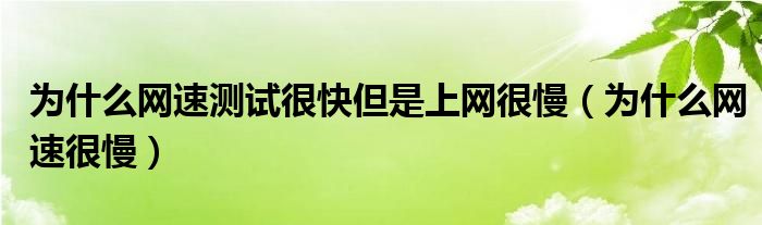 为什么网速测试很快但是上网很慢（为什么网速很慢）