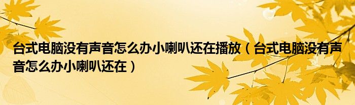 台式电脑没有声音怎么办小喇叭还在播放（台式电脑没有声音怎么办小喇叭还在）