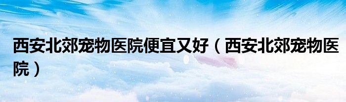 西安北郊宠物医院便宜又好（西安北郊宠物医院）