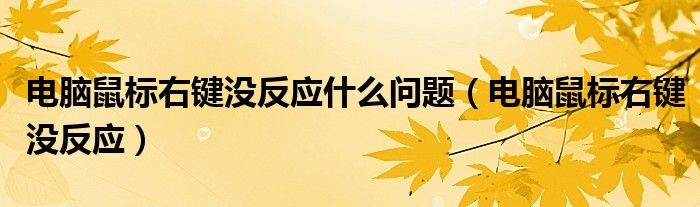 电脑鼠标右键没反应什么问题（电脑鼠标右键没反应）