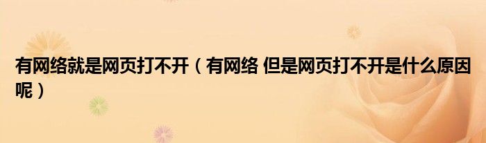 有网络就是网页打不开（有网络 但是网页打不开是什么原因呢）