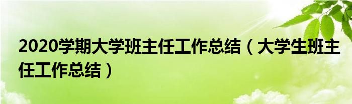 2020学期大学班主任工作总结（大学生班主任工作总结）