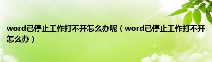 word已停止工作打不开怎么办呢（word已停止工作打不开怎么办）