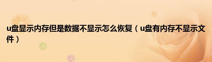 u盘显示内存但是数据不显示怎么恢复（u盘有内存不显示文件）