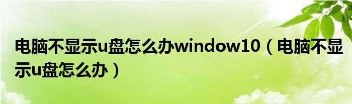 电脑不显示u盘怎么办window10（电脑不显示u盘怎么办）