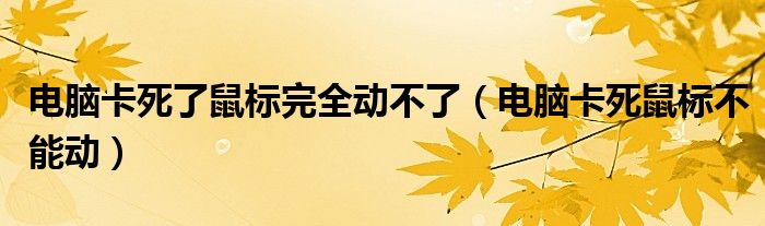 电脑卡死了鼠标完全动不了（电脑卡死鼠标不能动）