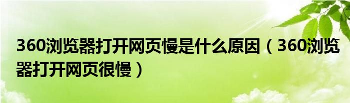 360浏览器打开网页慢是什么原因（360浏览器打开网页很慢）