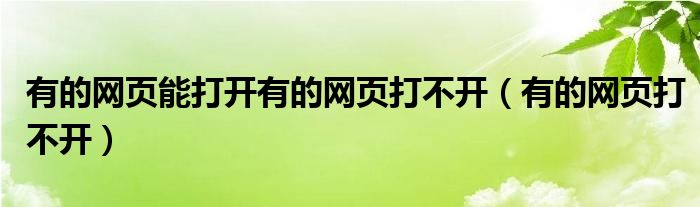 有的网页能打开有的网页打不开（有的网页打不开）