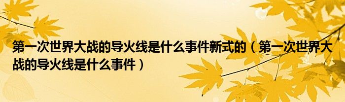 第一次世界大战的导火线是什么事件新式的（第一次世界大战的导火线是什么事件）