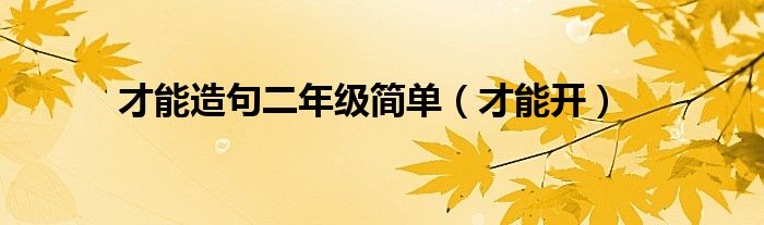 才能造句二年级简单（才能开）