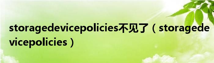 storagedevicepolicies不见了（storagedevicepolicies）