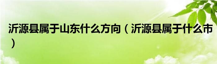 沂源县属于山东什么方向（沂源县属于什么市）