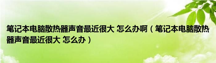 笔记本电脑散热器声音最近很大 怎么办啊（笔记本电脑散热器声音最近很大 怎么办）