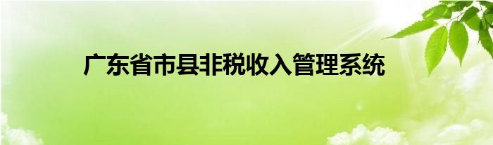 广东省市县非税收入管理系统