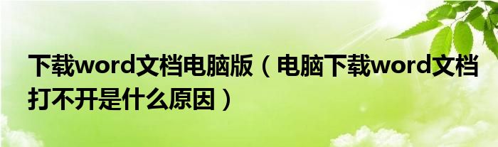 下载word文档电脑版（电脑下载word文档打不开是什么原因）