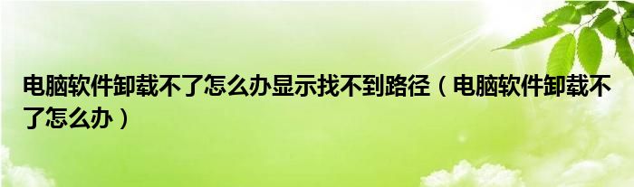 电脑软件卸载不了怎么办显示找不到路径（电脑软件卸载不了怎么办）