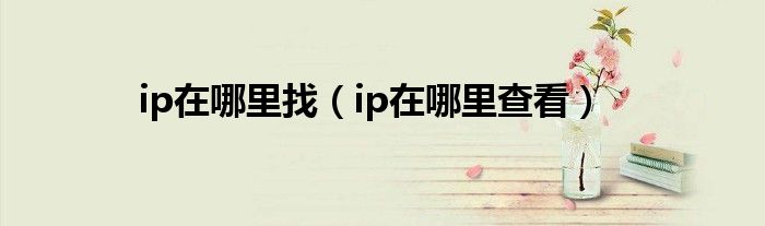 ip在哪里找（ip在哪里查看）