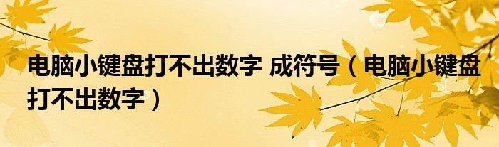 电脑小键盘打不出数字 成符号（电脑小键盘打不出数字）