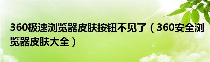 360极速浏览器皮肤按钮不见了（360安全浏览器皮肤大全）