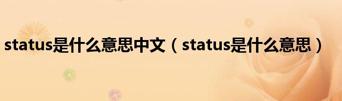 status是什么意思中文（status是什么意思）