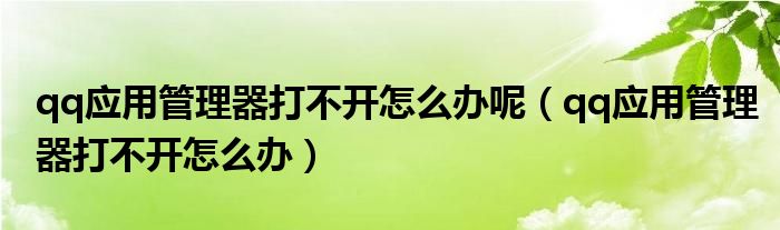 qq应用管理器打不开怎么办呢（qq应用管理器打不开怎么办）