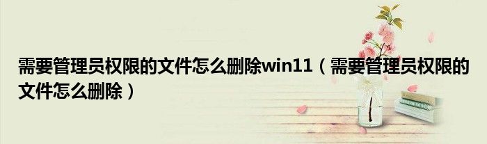 需要管理员权限的文件怎么删除win11（需要管理员权限的文件怎么删除）