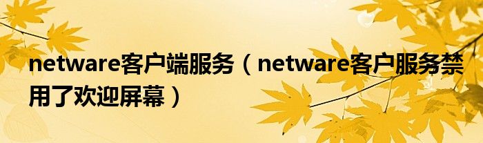 netware客户端服务（netware客户服务禁用了欢迎屏幕）