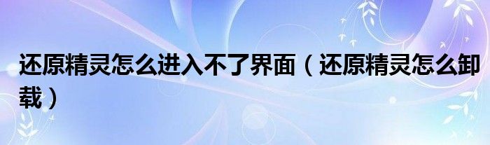 还原精灵怎么进入不了界面（还原精灵怎么卸载）