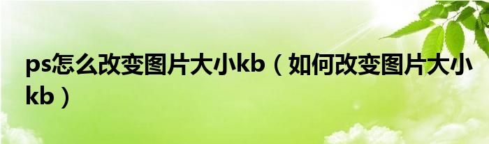 ps怎么改变图片大小kb（如何改变图片大小kb）