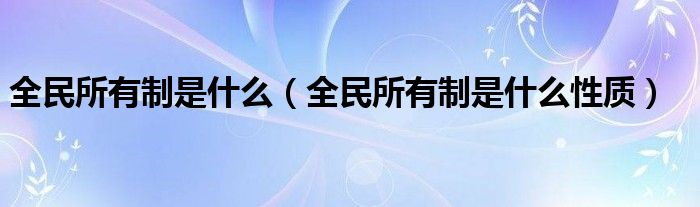 全民所有制是什么（全民所有制是什么性质）