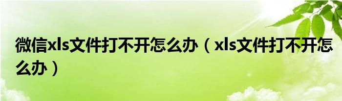 微信xls文件打不开怎么办（xls文件打不开怎么办）